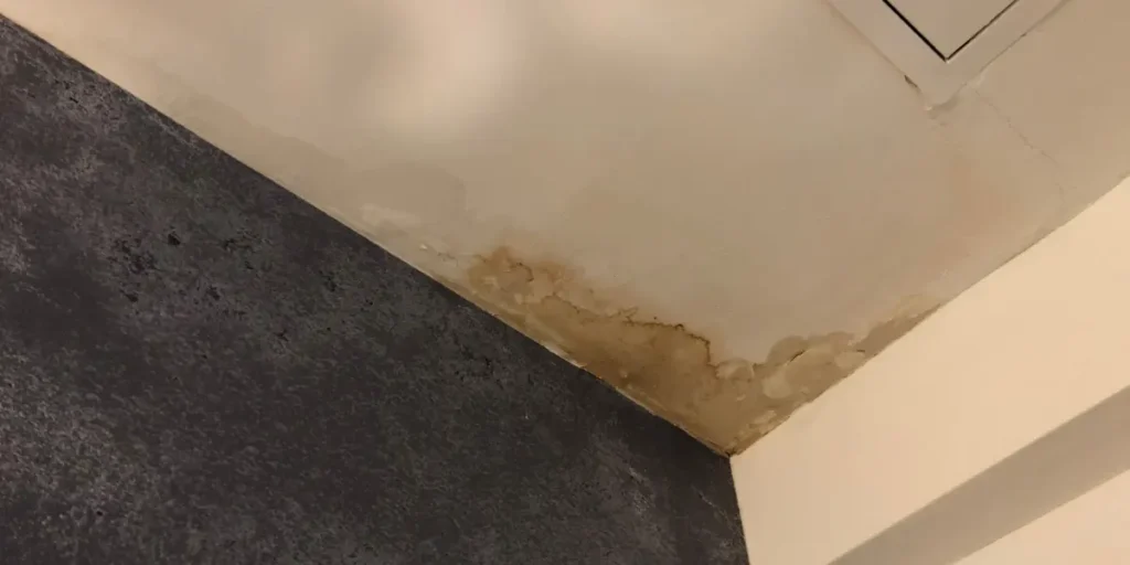 Water stains and peeling paint on an interior ceiling caused by a roof leak, highlighting the need for regular roof maintenance