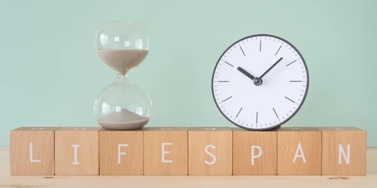 Hourglass and clock beside wooden blocks spelling “lifespan,” symbolising the importance of extending roof lifespan through regular roof painting and maintenance