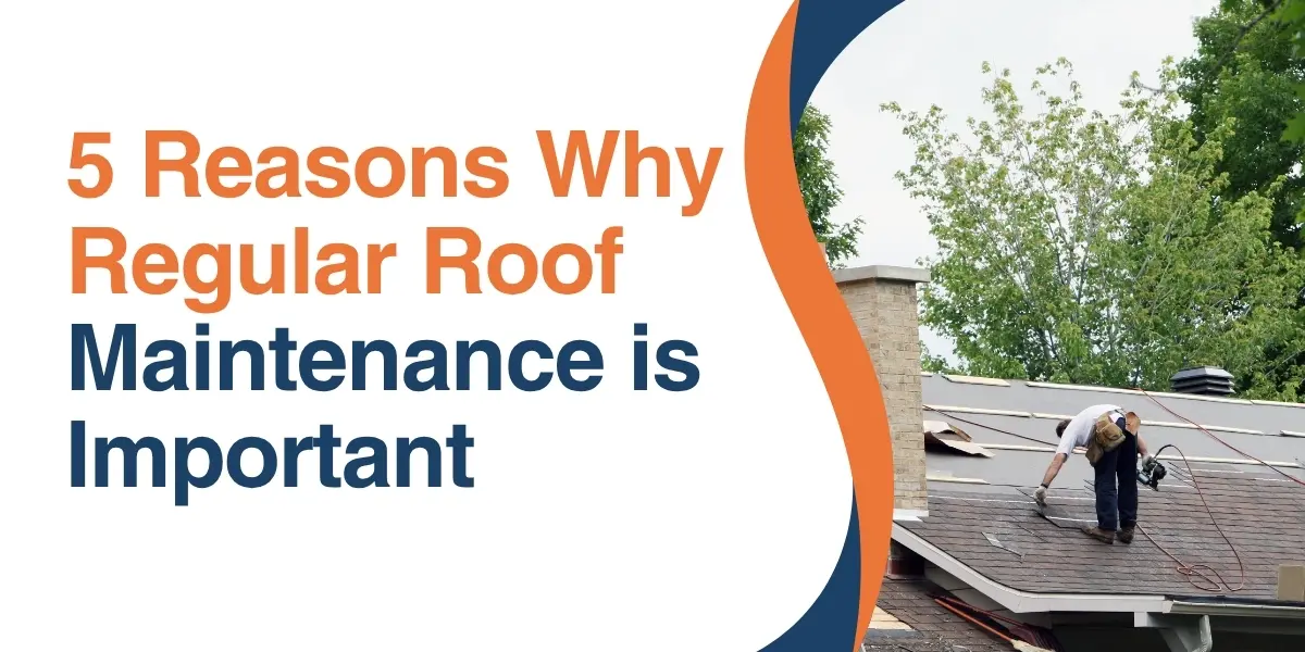 Home 100 5 Reasons Why Regular Roof Maintenance is Important