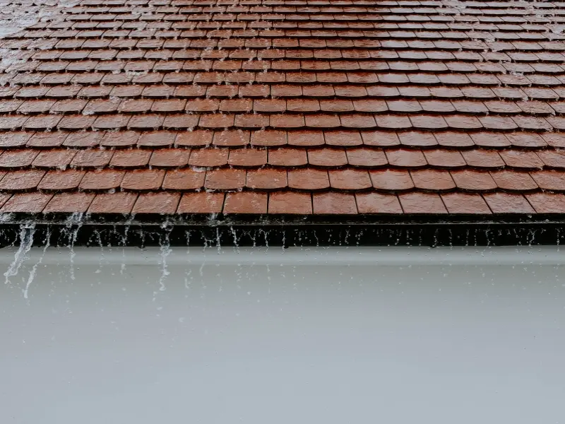 Gutter Guards 9 roof replacement 2